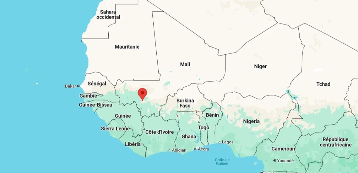 manifestation au palais de la culture de Bamako contre la dissolution des partis politiques