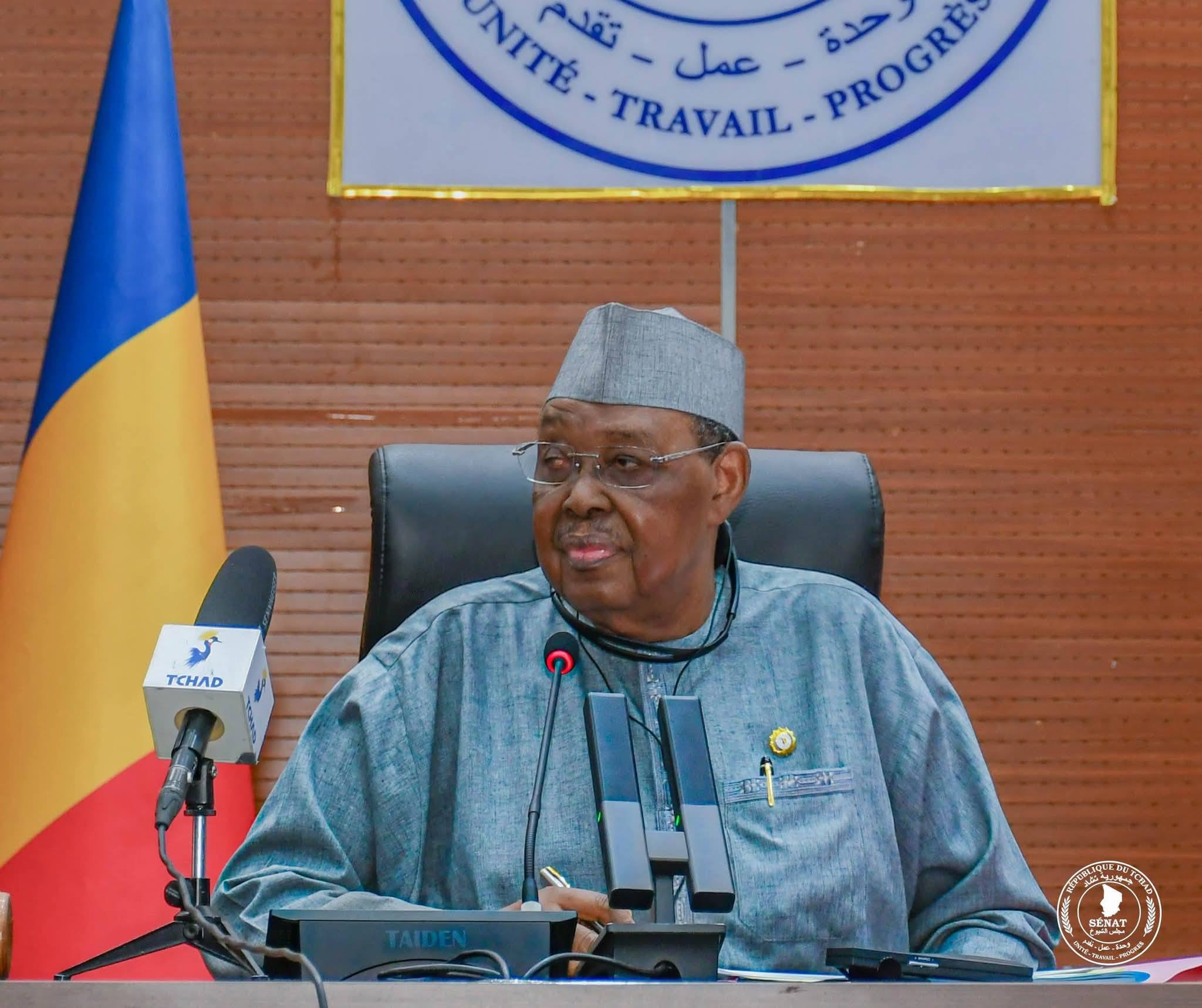 Illustration de la mobilisation pour la paix au Tchad