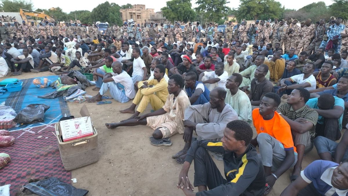 N'Djamena : opération massive contre la criminalité — 252 interpellations